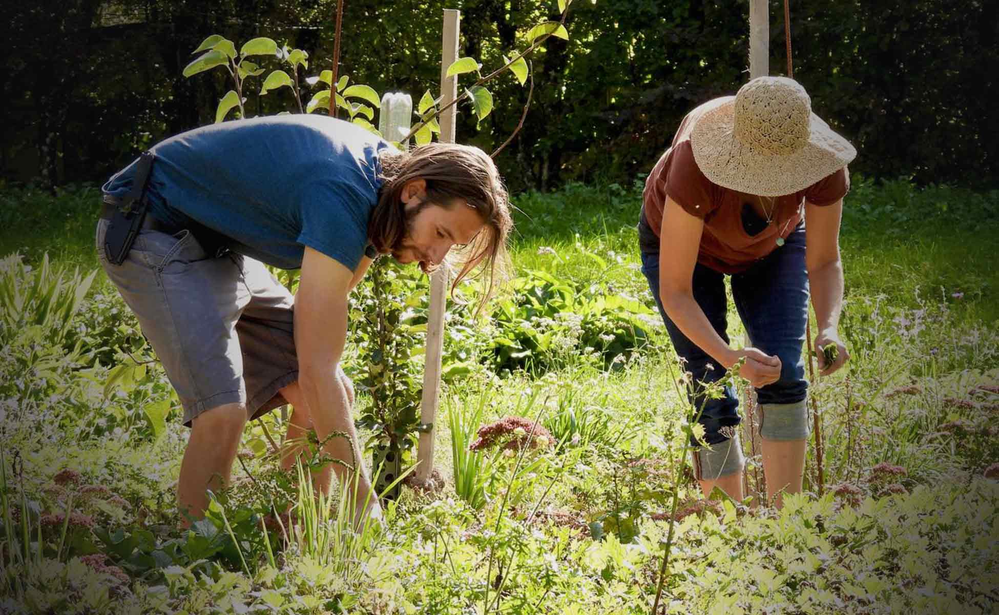 Waldgarten Camping Saland Permakultur