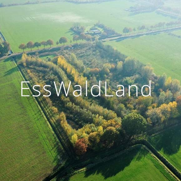 Pionier Permakultur Esswald Waldgarten Projekte