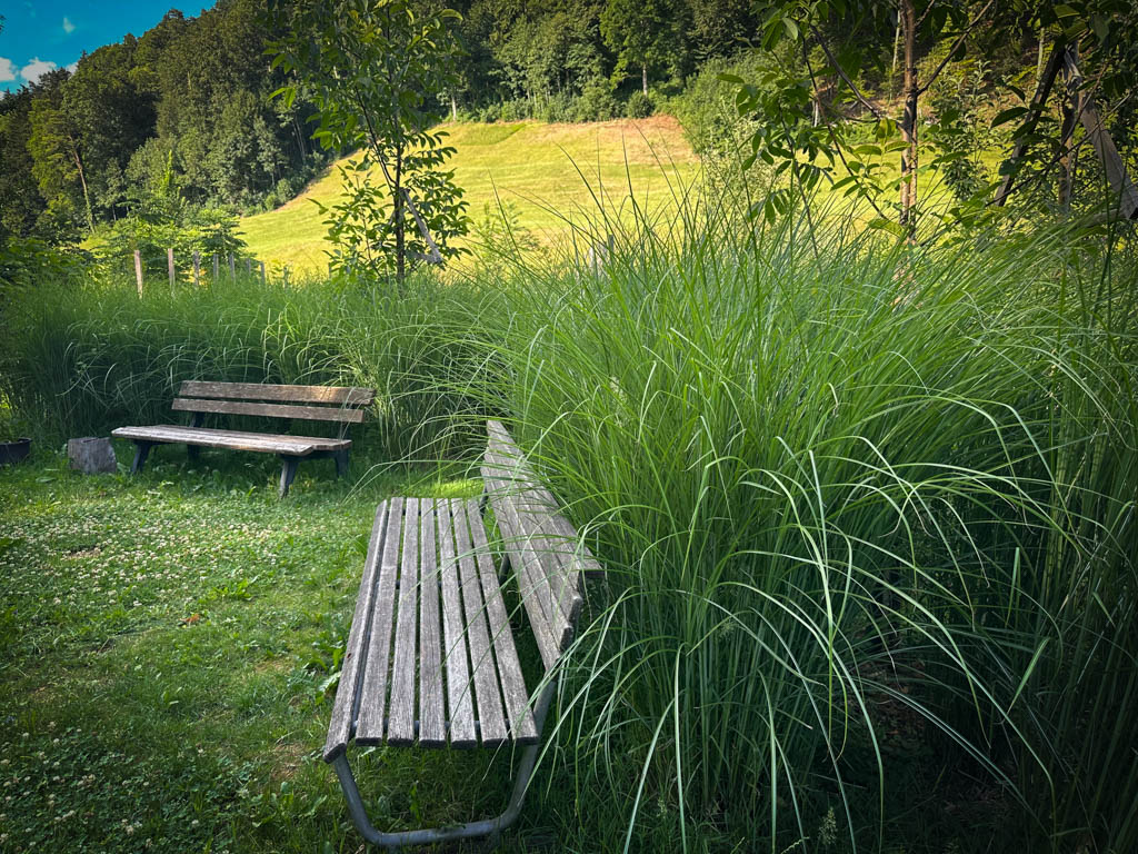 2026-waldgarten-sommer-