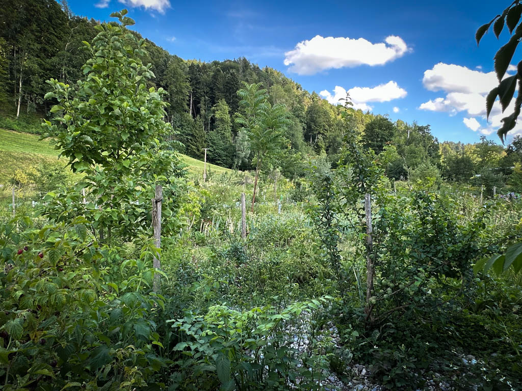 2026-waldgarten-sommer–16