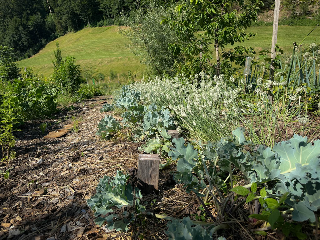 2026-waldgarten-sommer–20