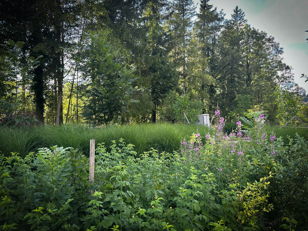 2026-waldgarten-sommer–3